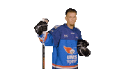 Ice Hockey Sport Sticker by UNIS Flyers