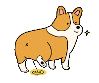 Eatmushroom dog illustration life corgi Sticker