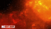 Street Fighter Idk GIF by Carson-Newman Athletics