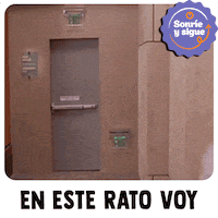 Ggo Gibs GIF by zivil