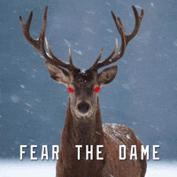 FEAR THE DAME