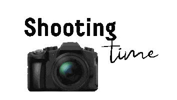 Movie Shooting Sticker by Maalia Agentur