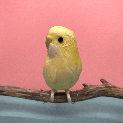 Sad Yellow Bird GIF by Julie Smith Schneider