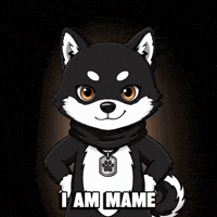 mamebnb crypto memecoin og bnb GIF