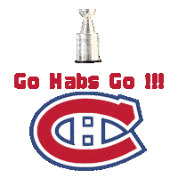 Stanley Cup Hockey Sticker