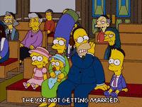 homer simpson episode 6 GIF