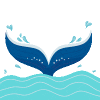 Ballena Sticker by Sow Labs