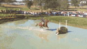 Jump Kiss GIF by FEI Global