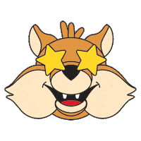 Excited Starry Eyed Sticker by Université de Sherbrooke