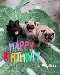 Birthday GIF