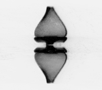 video art GIF by J. Robinson