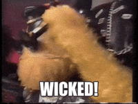 Video gif. Furry orange puppet wearing leather lifts its goggles off of its eyes and looks at us. Text, “Wicked.”