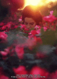 lana del rey love GIF