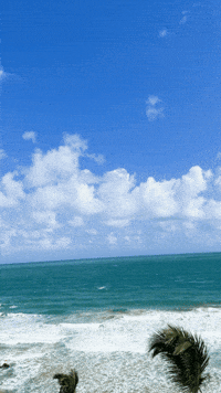 Puerto Rico Summer GIF