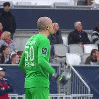 Celebration Goal GIF by AS Saint-Étienne