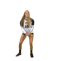 umbc volleyball Sticker