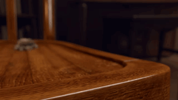 spider lucas GIF