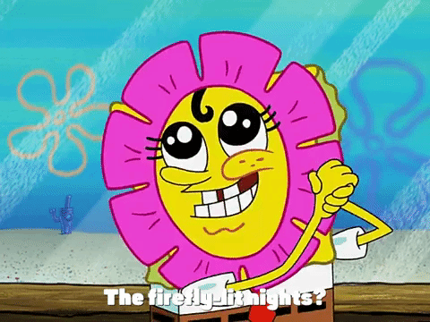 season 3 krabby land GIF by SpongeBob SquarePants