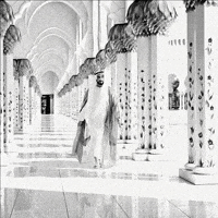 Abu Dhabi Zayed GIF by SZGMC UAE