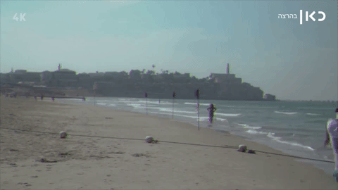 כאן דיגיטל GIF by כאן | תאגיד השידור הישראלי