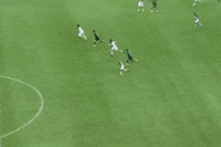 cartoleiros futebol palmeiras willian GIF