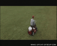 grass GIF