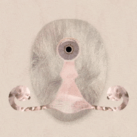 Art Animation GIF by PMS project