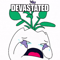 Sad Cry GIF by Magic Eden