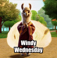 Wind Park GIF by dalaillamazen
