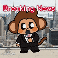Bbc News GIF by Chimpers