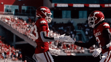 College Football GIF by Arkansas Razorbacks