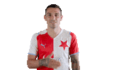 Football Heart Sticker by SK Slavia Praha