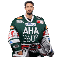 Del Pureemotion Sticker by Augsburger Panther Eishockey GmbH