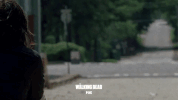 the walking dead fox GIF