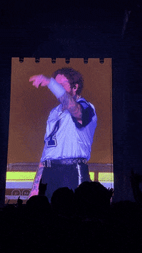 life post post malone malone GIF