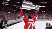 Stanley Cup Playoffs Win GIF by NHL