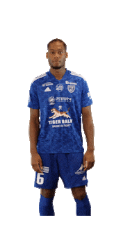 Football Sport Sticker by FCVB