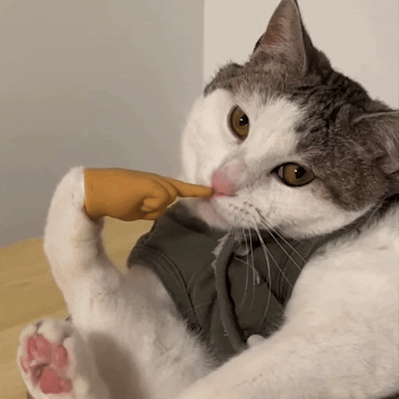 GIF by Martin