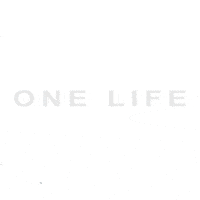 SBXLife snowboarding sbx boardercross snowboardcross GIF