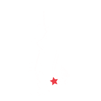 New Hampshire Manchester Sticker by Fox Pest Control