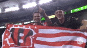 2018 Nfl Football GIF by NFL