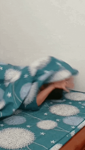 namtrung138  GIF