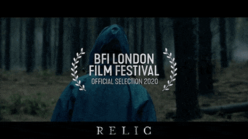 Film Festival Movie GIF by Signature Entertainment