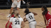 iowa hawkeyes GIF by University of Iowa Hawkeyes Athletics