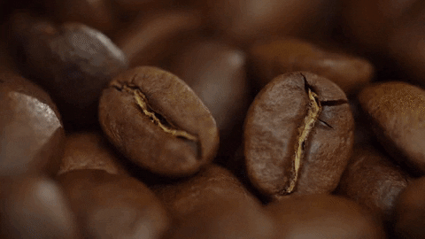 Coffee Shop GIF by coffeebrands