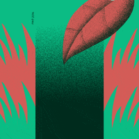 animation design GIF