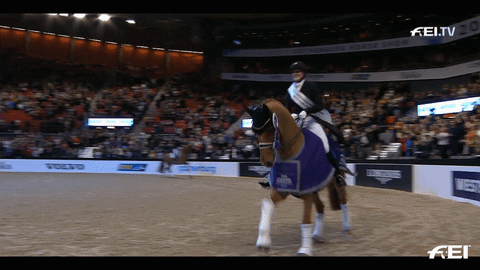 Happy Leading Ladies GIF by FEI Global