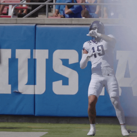 Celebration Go Frogs GIF by TCU Football