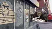 GIF by Alex Boya
