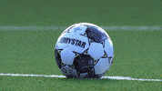 GIF by FOX Sports